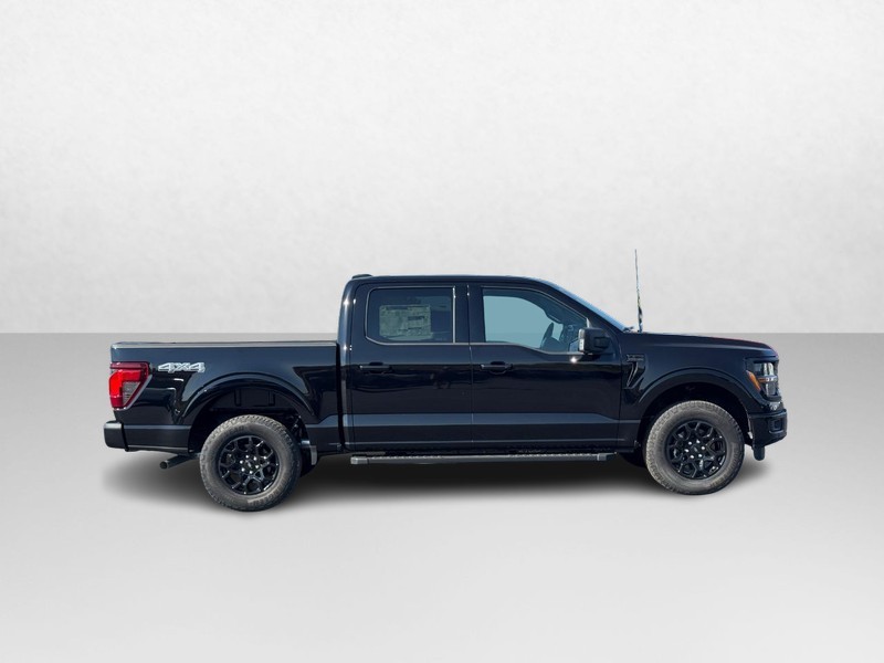 Ford F-150 Vehicle Image 02