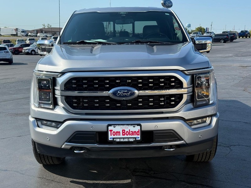Ford F-150 Vehicle Image 10