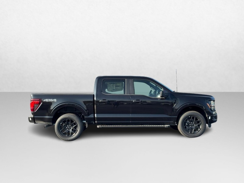 Ford F-150 Vehicle Image 02