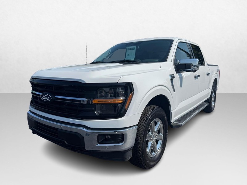 Ford F-150 Vehicle Image 02