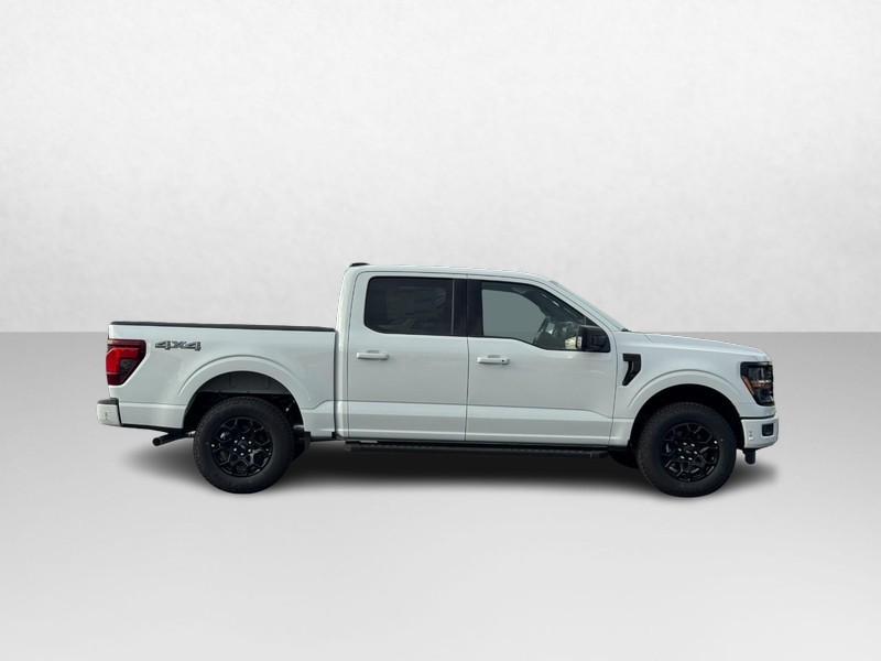 Ford F-150 Vehicle Image 02