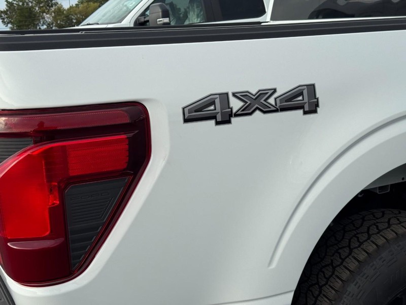 Ford F-150 Vehicle Image 04