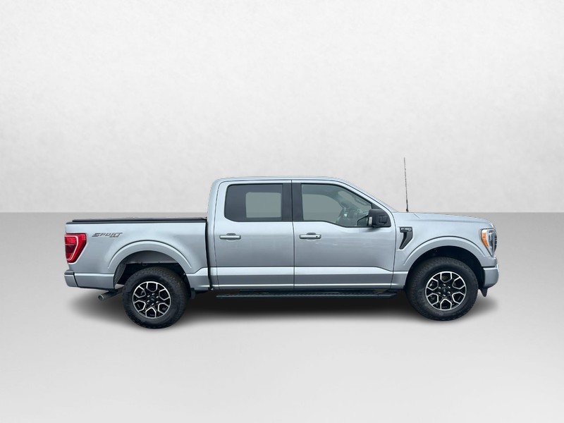 Ford F-150 Vehicle Image 02