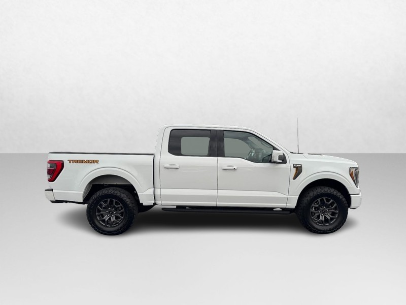 Ford F-150 Vehicle Image 02