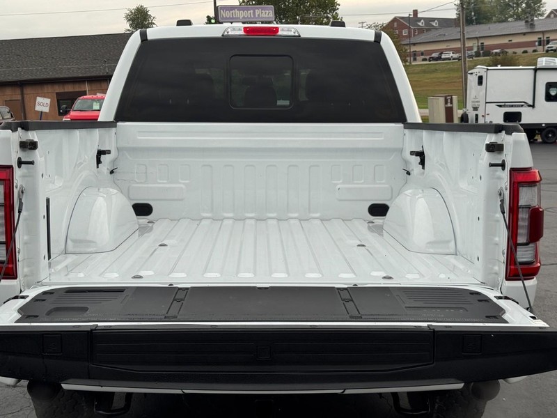 Ford F-150 Vehicle Image 04