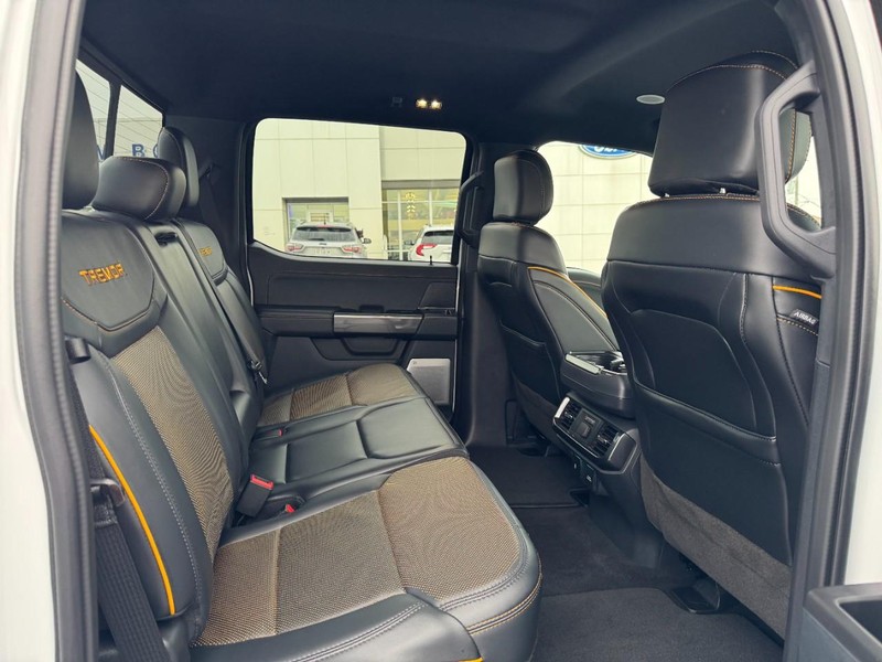 Ford F-150 Vehicle Image 10
