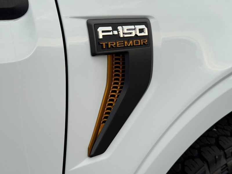 Ford F-150 Vehicle Image 17