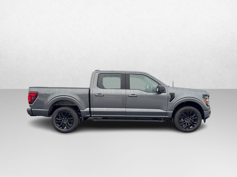 Ford F-150 Vehicle Image 02