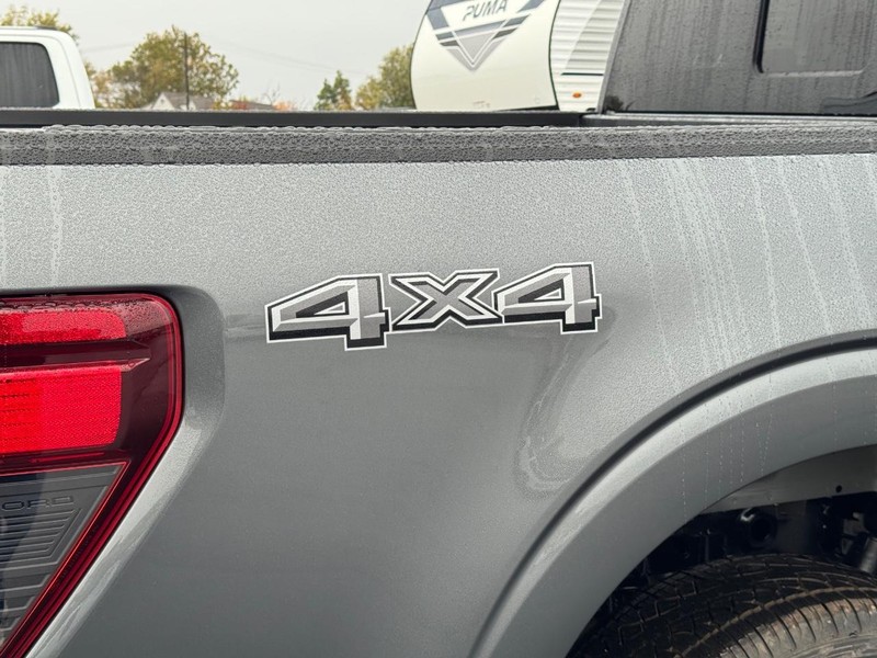 Ford F-150 Vehicle Image 04