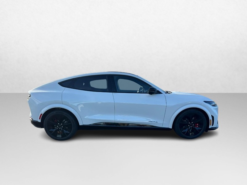 Ford Mustang Mach-E Vehicle Image 02
