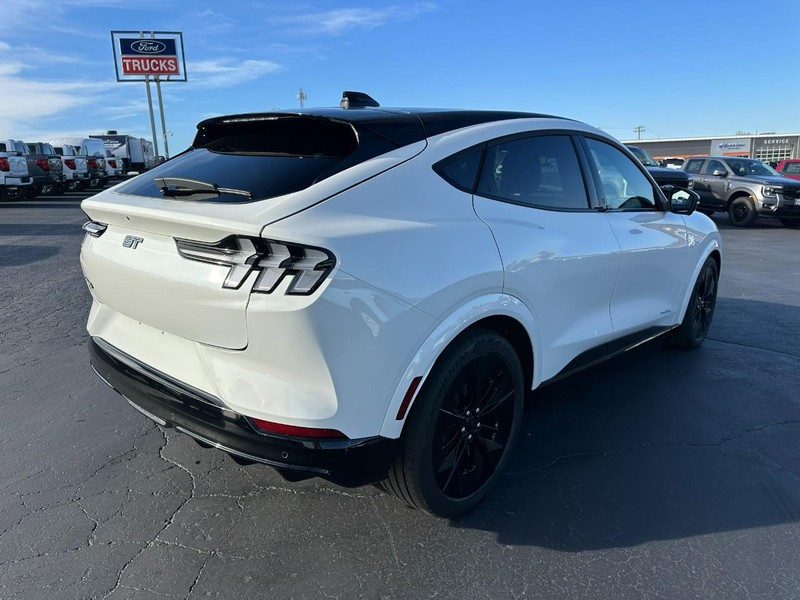 Ford Mustang Mach-E Vehicle Image 03