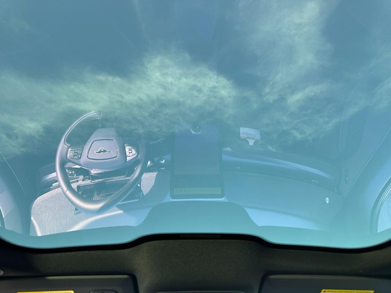 Ford Mustang Mach-E Vehicle Image 05