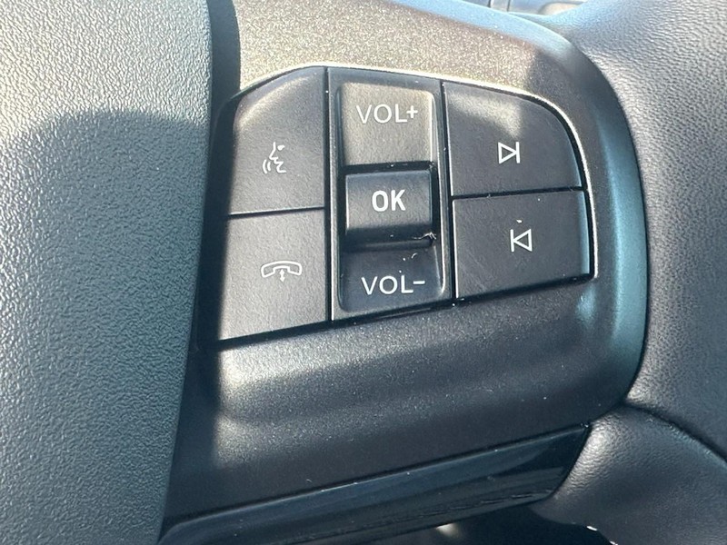 Ford Mustang Mach-E Vehicle Image 14