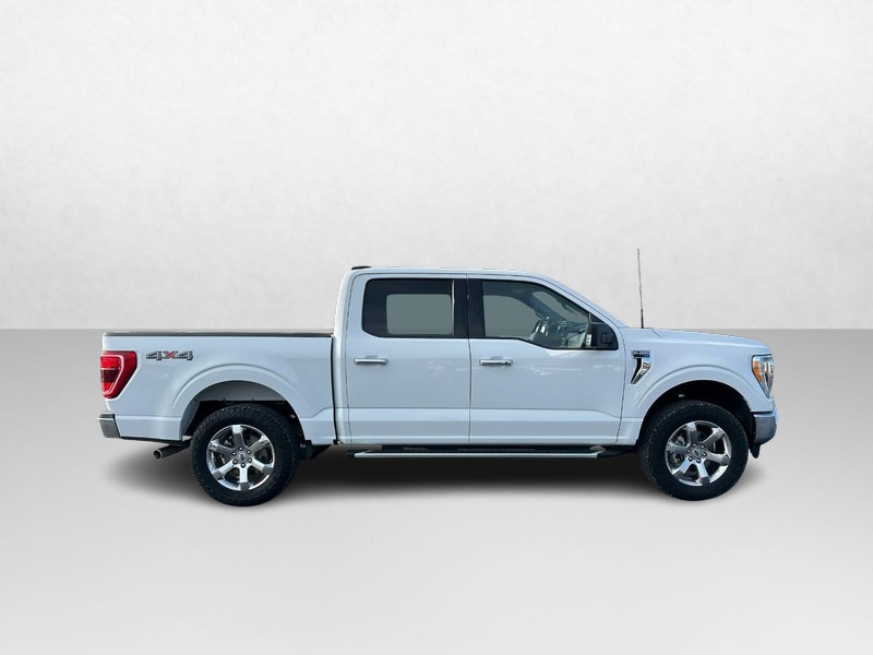 Ford F-150 Vehicle Image 02