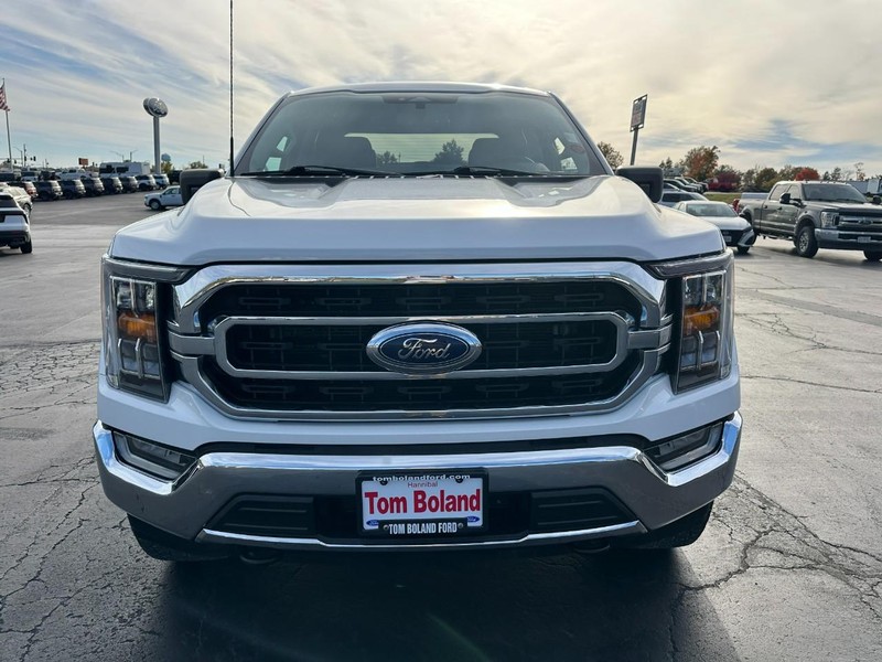 Ford F-150 Vehicle Image 09