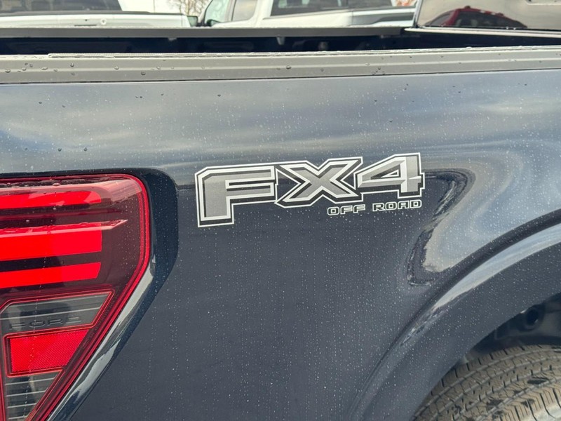 Ford F-150 Vehicle Image 04