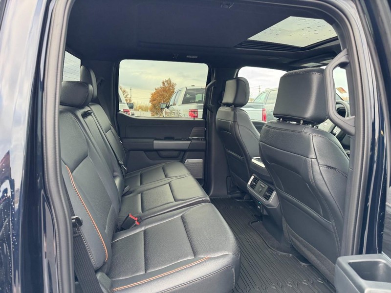 Ford F-150 Vehicle Image 06