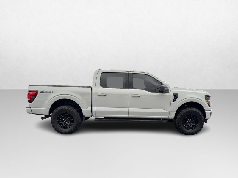 Ford F-150 Vehicle Image 02