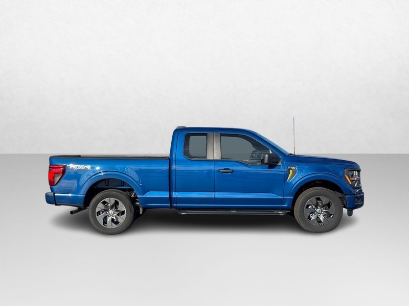 Ford F-150 Vehicle Image 02