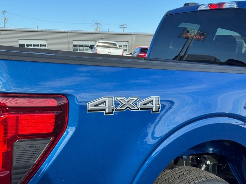 Ford F-150 Vehicle Image 04