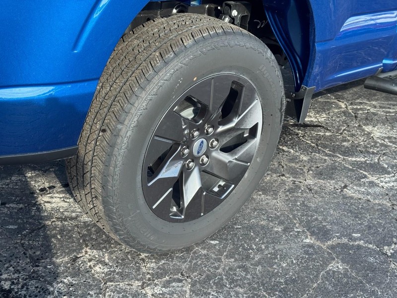 Ford F-150 Vehicle Image 05