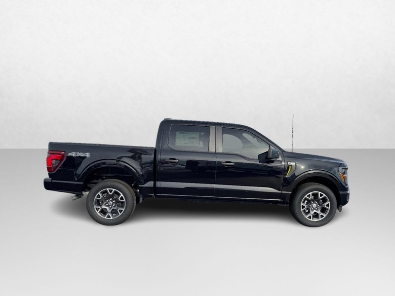 Ford F-150 Vehicle Image 02