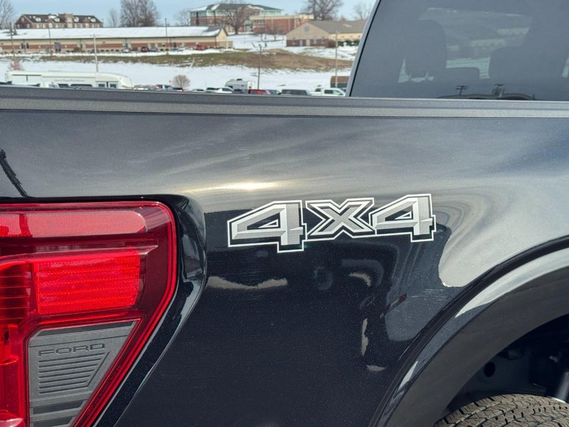 Ford F-150 Vehicle Image 04