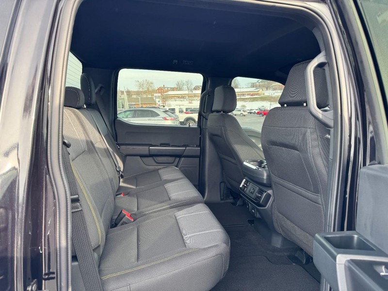 Ford F-150 Vehicle Image 06