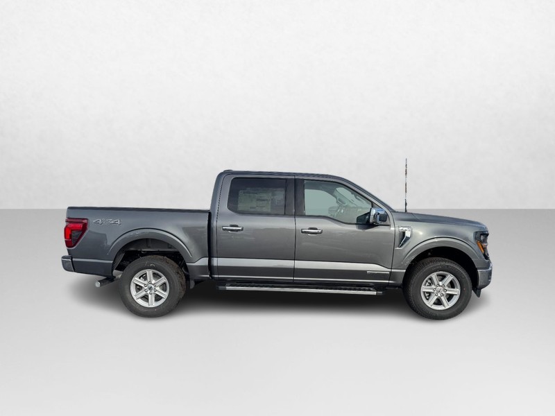Ford F-150 Vehicle Image 02