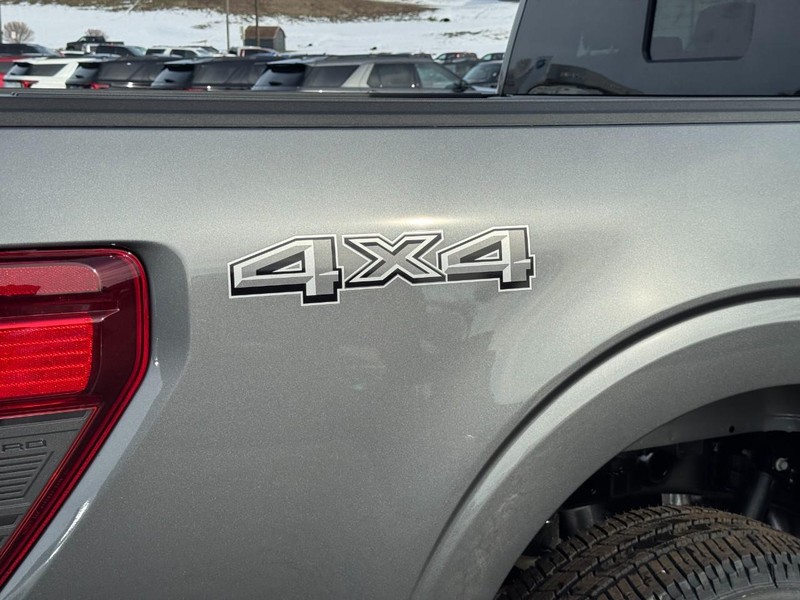 Ford F-150 Vehicle Image 04