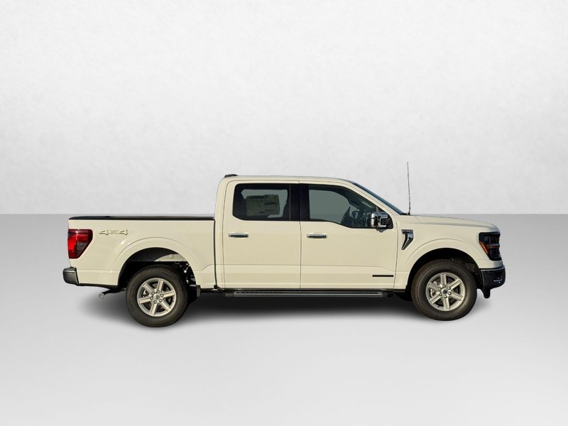 Ford F-150 Vehicle Image 02