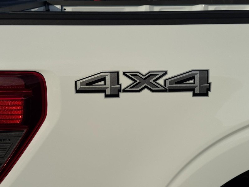 Ford F-150 Vehicle Image 04