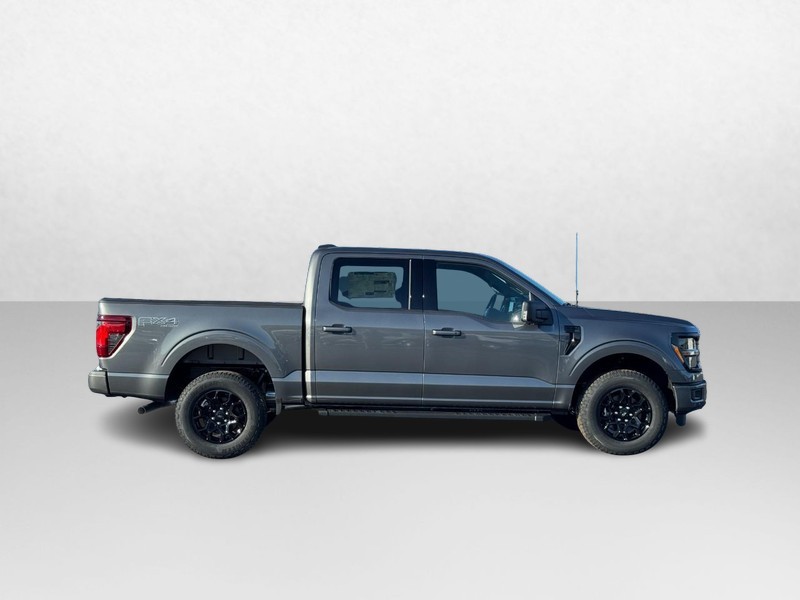 Ford F-150 Vehicle Image 02