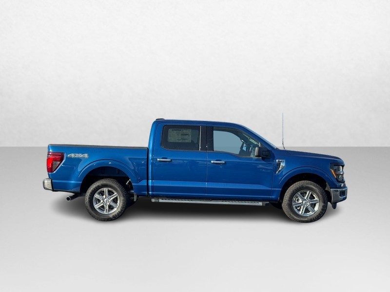 Ford F-150 Vehicle Image 02