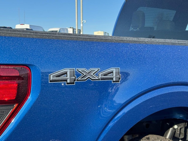 Ford F-150 Vehicle Image 04