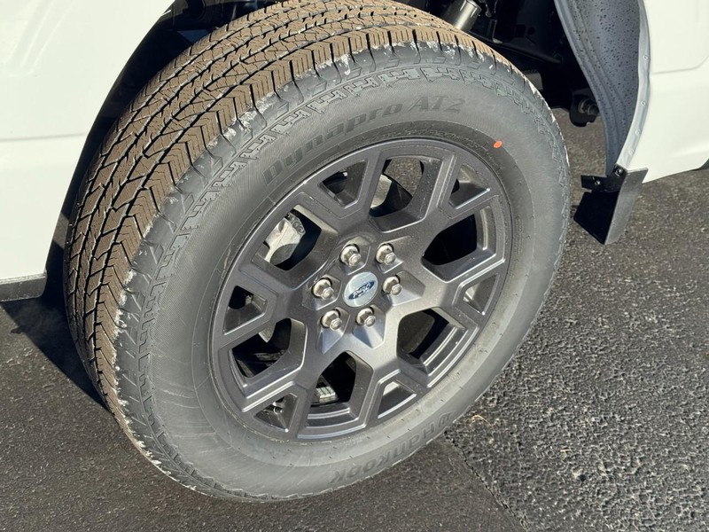 Ford F-150 Vehicle Image 05