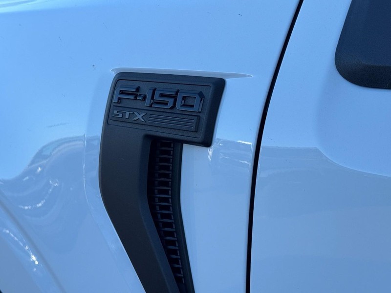 Ford F-150 Vehicle Image 11