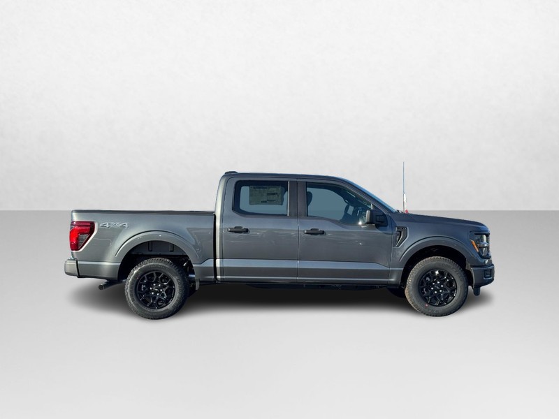 Ford F-150 Vehicle Image 02