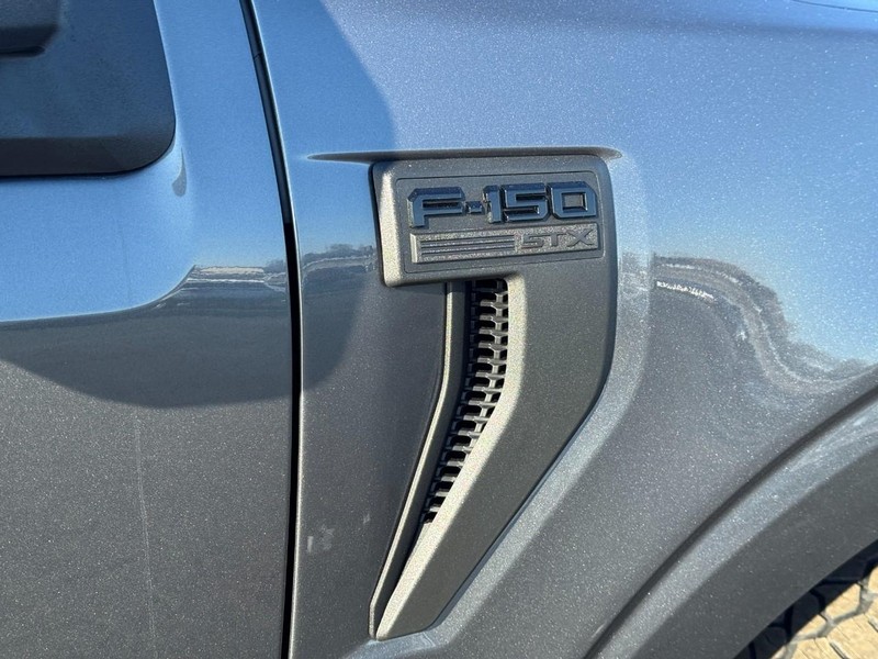 Ford F-150 Vehicle Image 12