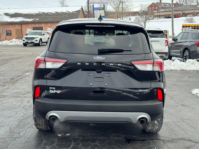 Ford Escape Vehicle Image 05