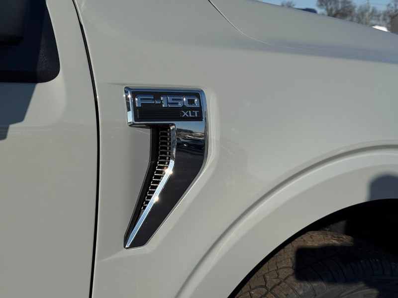 Ford F-150 Vehicle Image 05