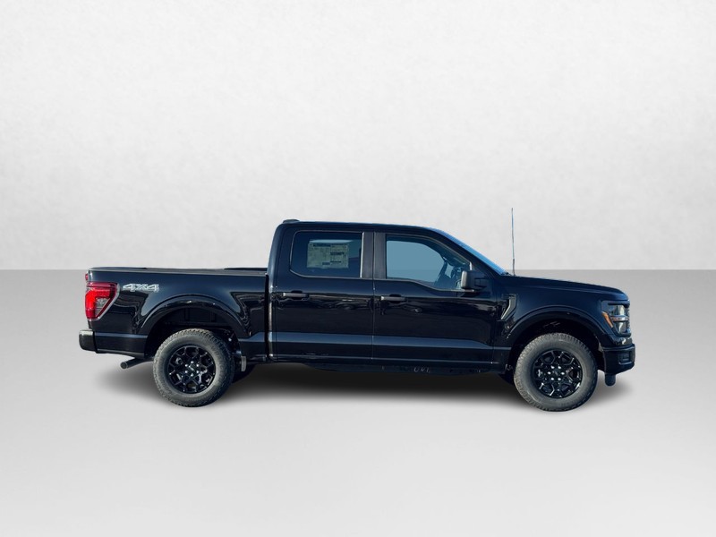 Ford F-150 Vehicle Image 02