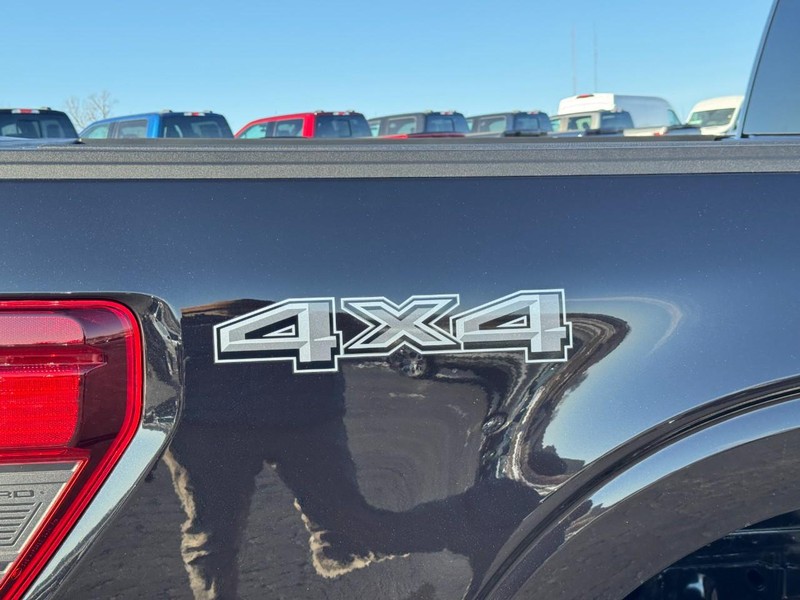 Ford F-150 Vehicle Image 04