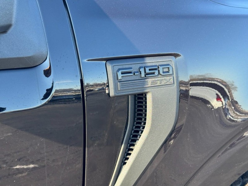 Ford F-150 Vehicle Image 12