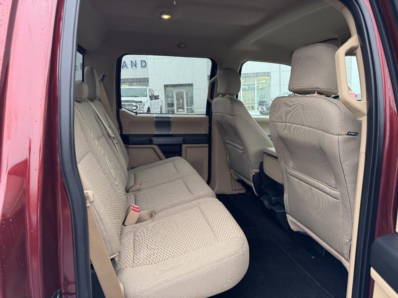 Ford F-150 Vehicle Image 09