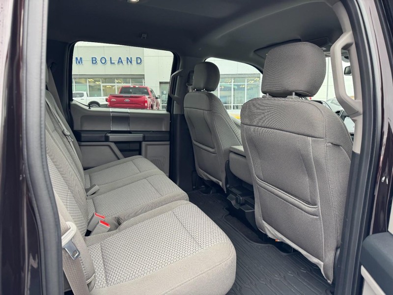 Ford F-150 Vehicle Image 10