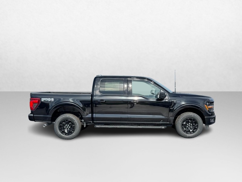 Ford F-150 Vehicle Image 02