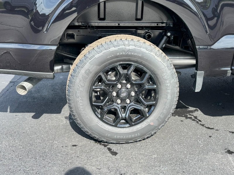 Ford F-150 Vehicle Image 04