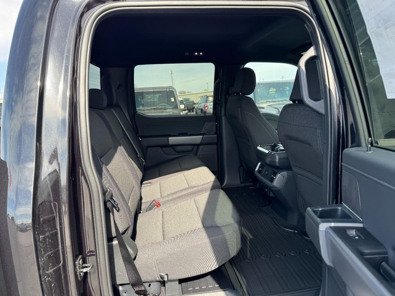 Ford F-150 Vehicle Image 05