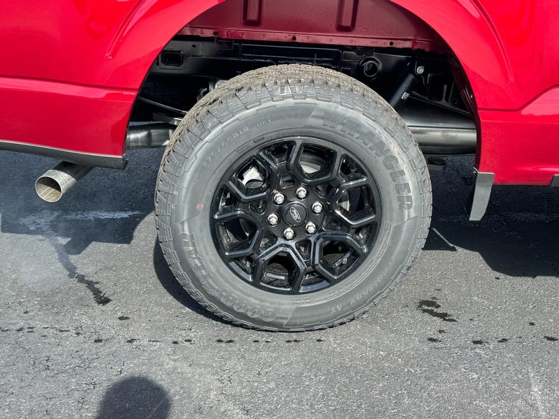 Ford F-150 Vehicle Image 04